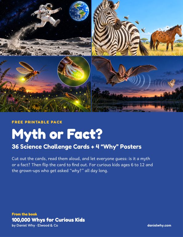 Cover of the Myth or Fact? printable pack